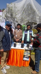 Spring fest Exhibition (4)