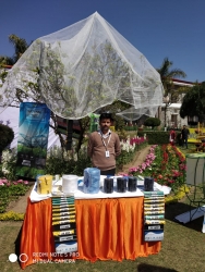 Spring Fest Exhibition